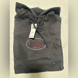 Brand new with tags and original package hollister hoodie